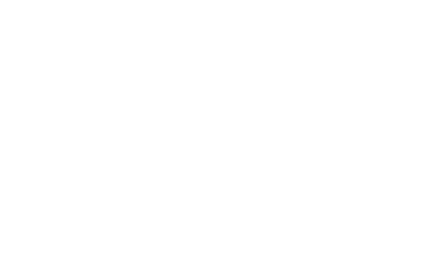 Revisão Teórica